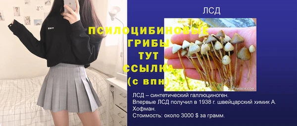 первитин Балахна