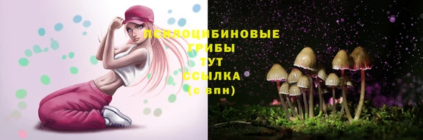 гидропоника Баксан