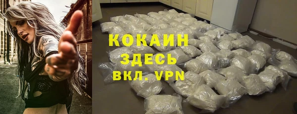 PSILOCYBIN Ельня