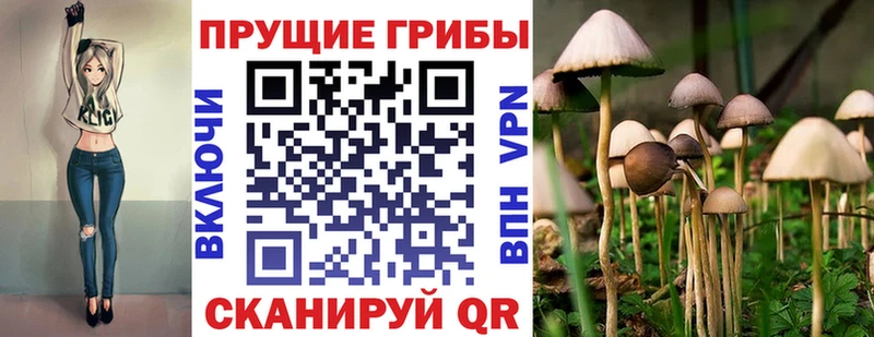 Галлюциногенные грибы прущие грибы  как найти наркотики  Серафимович 